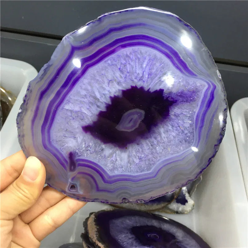Close-up of a purple and white agate slice held by a hand.