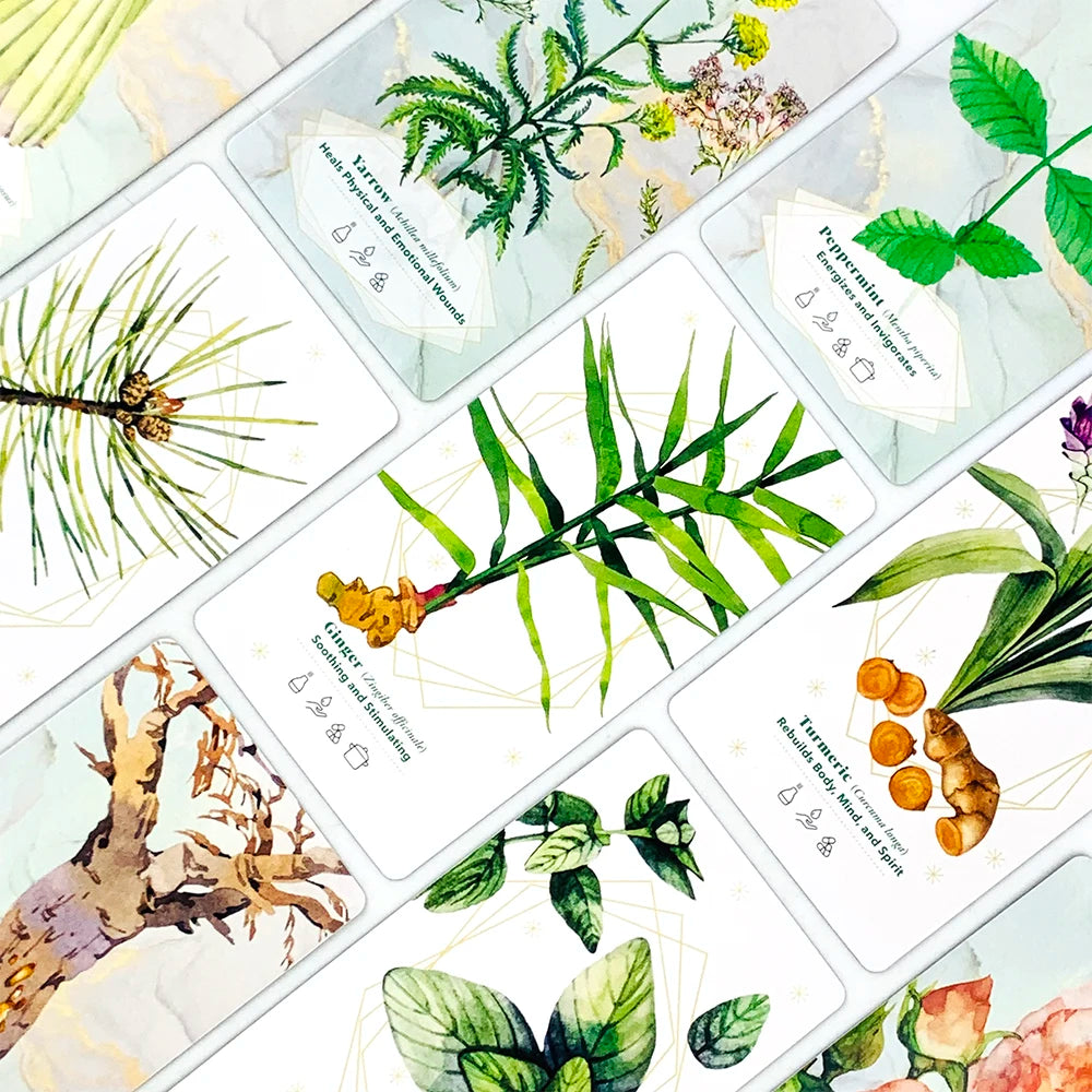 Set of cards with illustrations of various plants and their names.