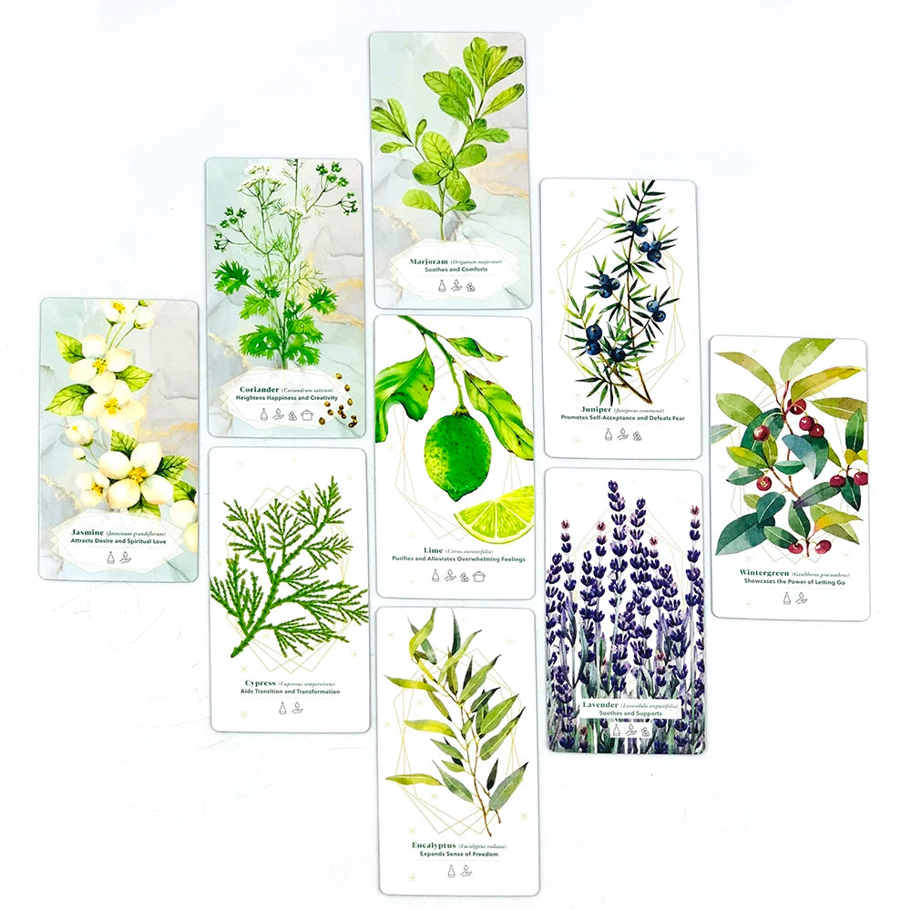 Set of cards with illustrations of various plants and flowers on a white background