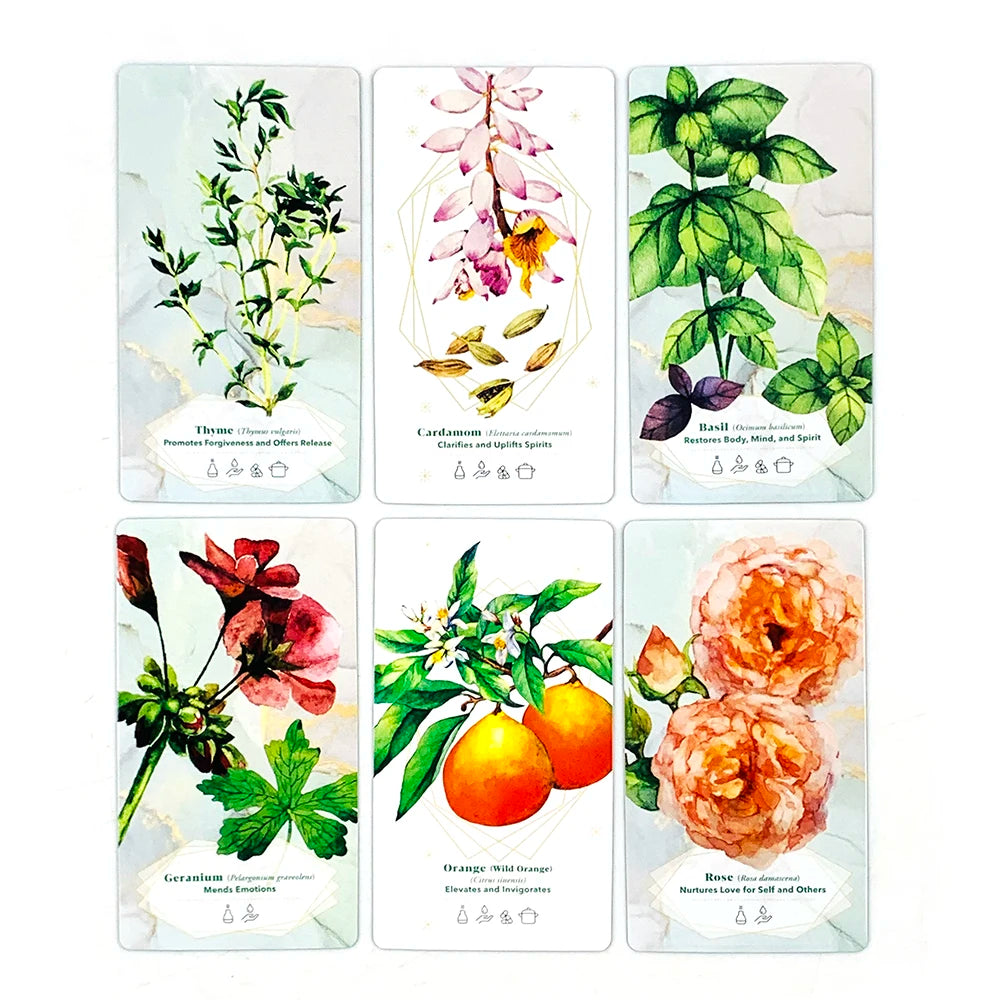 Set of six floral and botanical themed cards on a white background